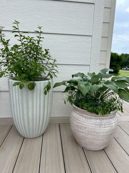 Absolutely love these two planters!!! Awesome pricing! Taller ones would be great for front porch! 

Planter, outdoor decor, porch decor, large planter, outdoor living 

#LTKHome #LTKFindsUnder50 #LTKSaleAlert