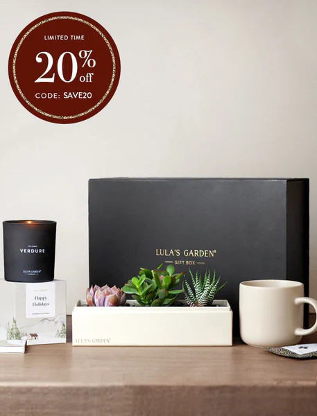 Holiday Jewel Gift Set | Lula's Garden
