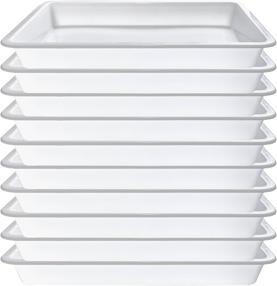 10PCS Plastic Art Trays,White Activity Crafts Tray,Organizer Trays,Serving Tray for Home,School,K... | Amazon (US)
