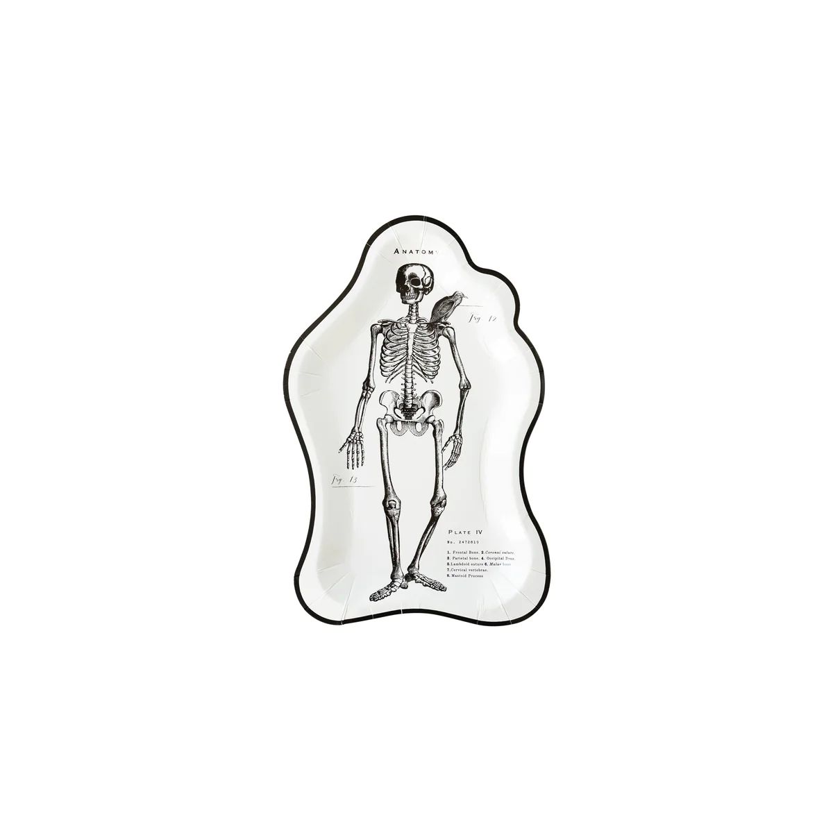 Ephemera Halloween Skeleton Shaped Plate | My Mind's Eye