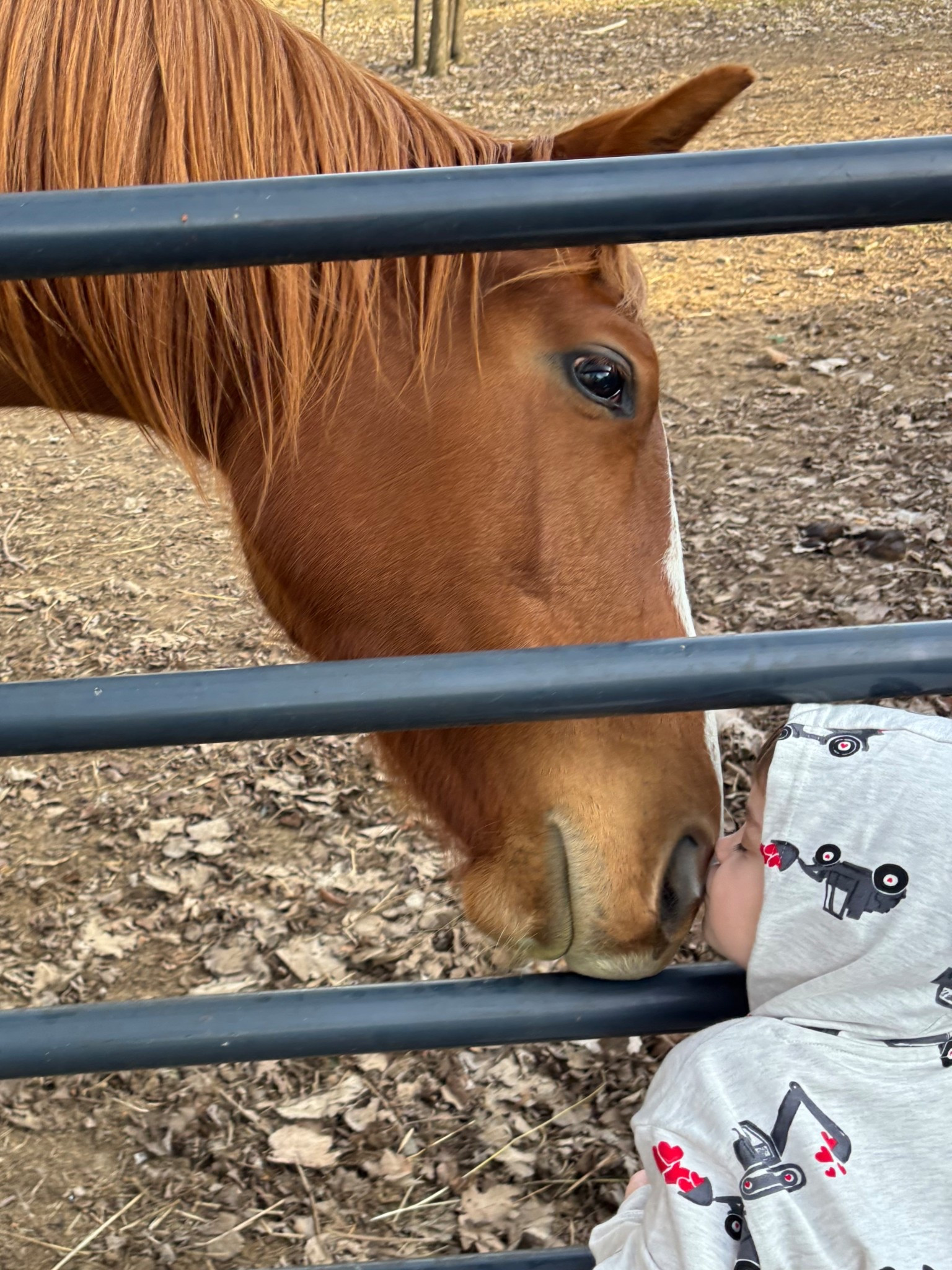 Valentine’s Day boys outfits! So cute from Walmart! Got matcgig ones for the boys! 

Smooches for Ruby 😘💋

#LTKSeasonal #LTKootd #LTKBaby