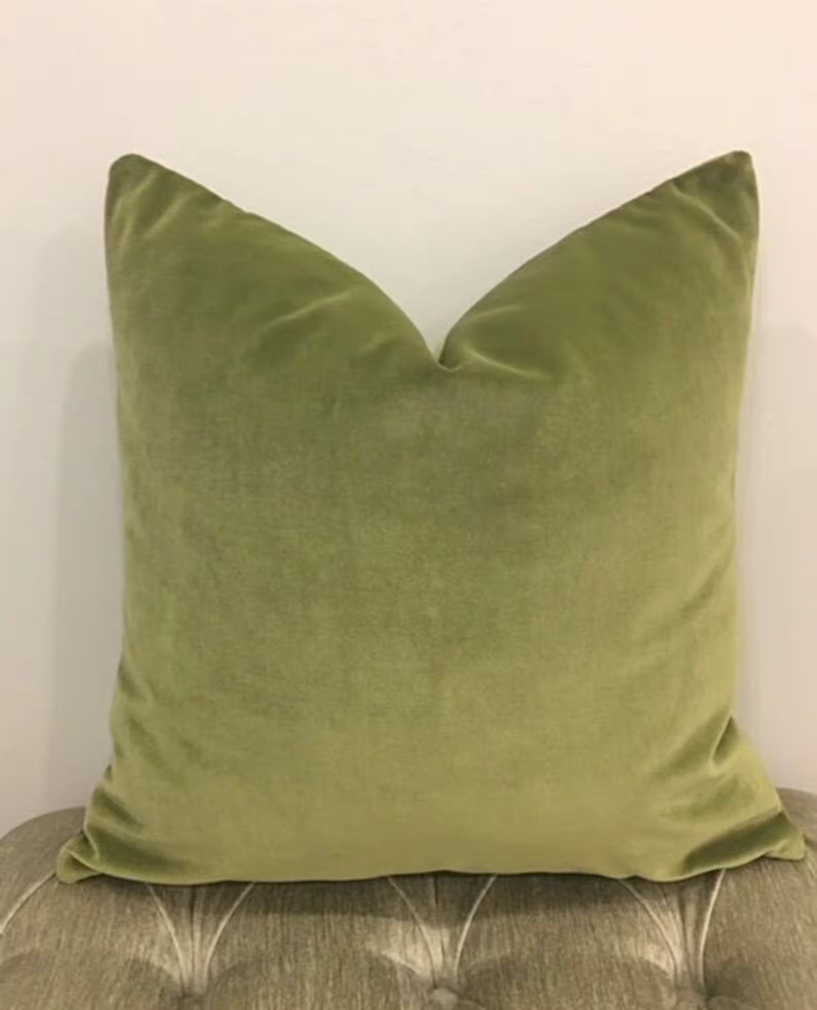 Luxury Sage Green Velvet Throw Pillow, Velvet Pillow Cover, Green Pillows, Decorative Velvet Pill... | Etsy (CAD)