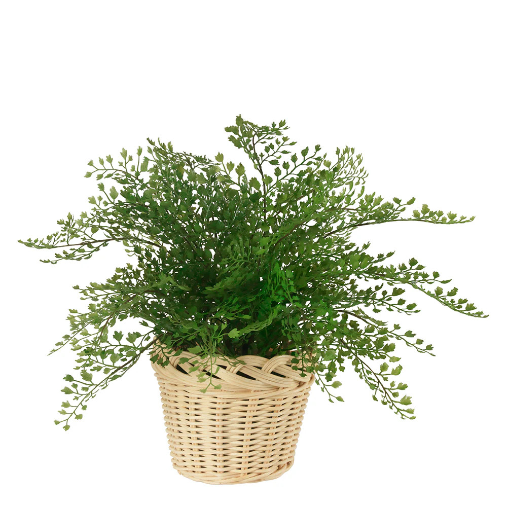 A Little Lacy | Diane James Home