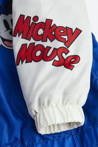 Hooded Jacket | H&M (US + CA)