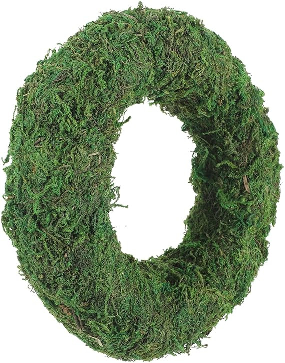 Small Wreath Wreath Making Circles Crafts Moss Decorations Supplies Flocking Manual Crafting Wrea... | Amazon (US)