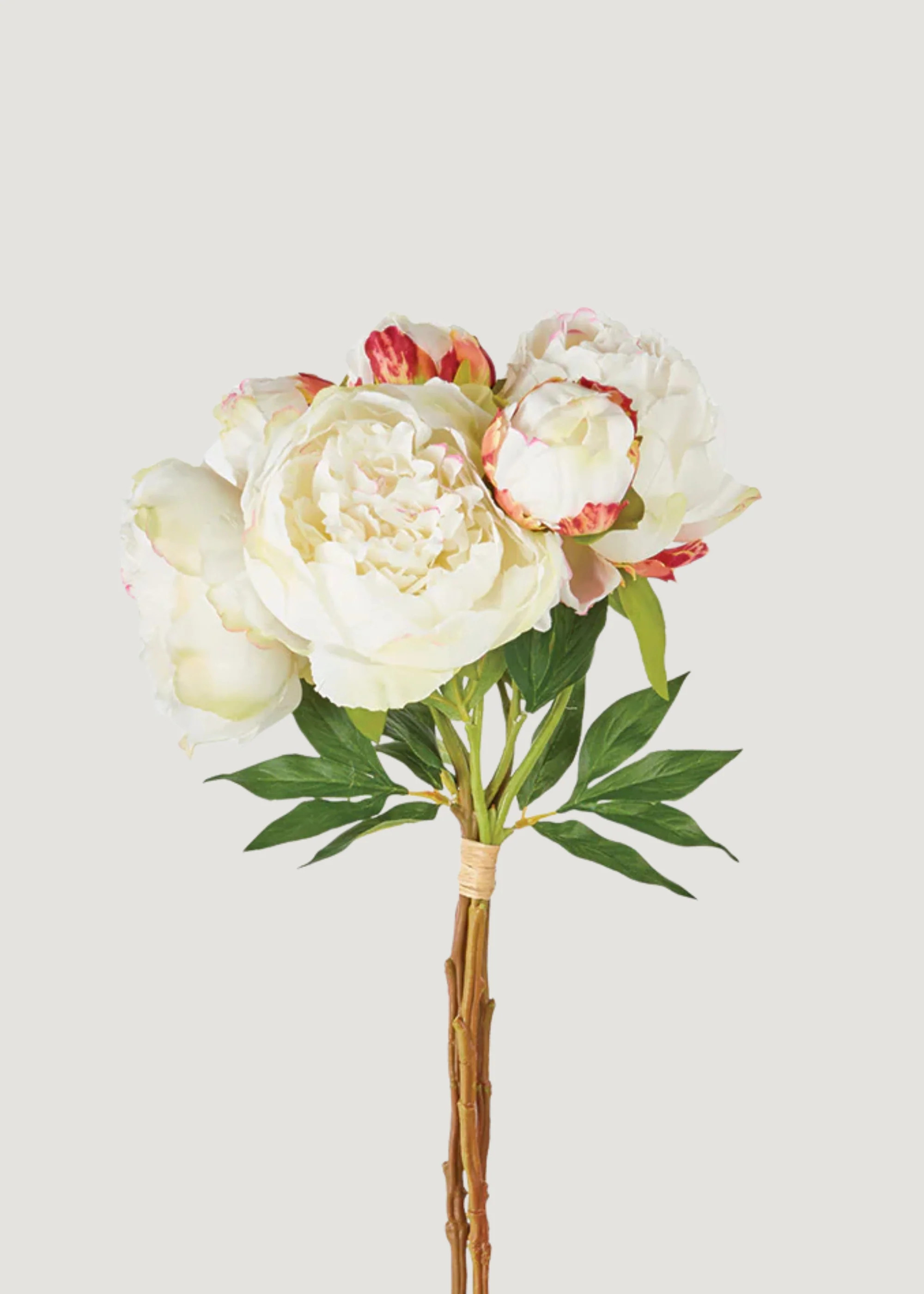Flower Bundle of Cream Peonies | Faux Wedding Flowers | Afloral | Afloral