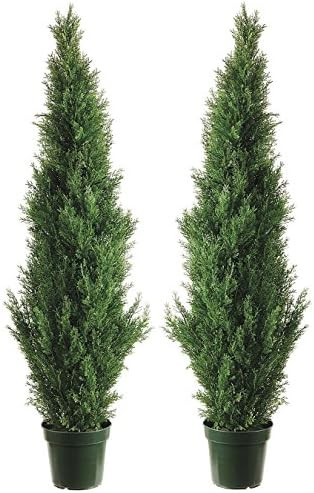 Two 4 Foot Outdoor Artificial Cedar Topiary Trees Uv Rated Potted Plants | Amazon (US)
