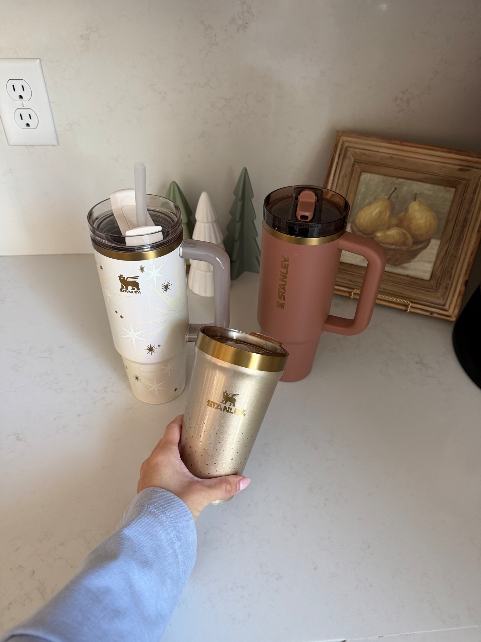 Stanley’s Holiday collection! 

@stanley_brand, #stanleypartner

#LTKHoliday