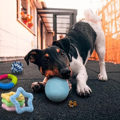 Mewoofun Pet Toy Puppy Chew Toys Dog Teething Toy Puppy Toy Teething Ring Durable Rope, Cute Interactive Dog Ball, Multicolored, 23.2"*20.1"*10.6" | Target