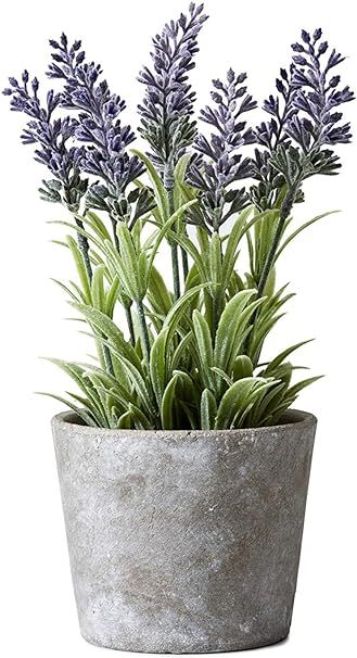 Serene Spaces Living Artificial Lavender in Cement Pot, Perfect for Weddings and Home Décor, Rea... | Amazon (US)