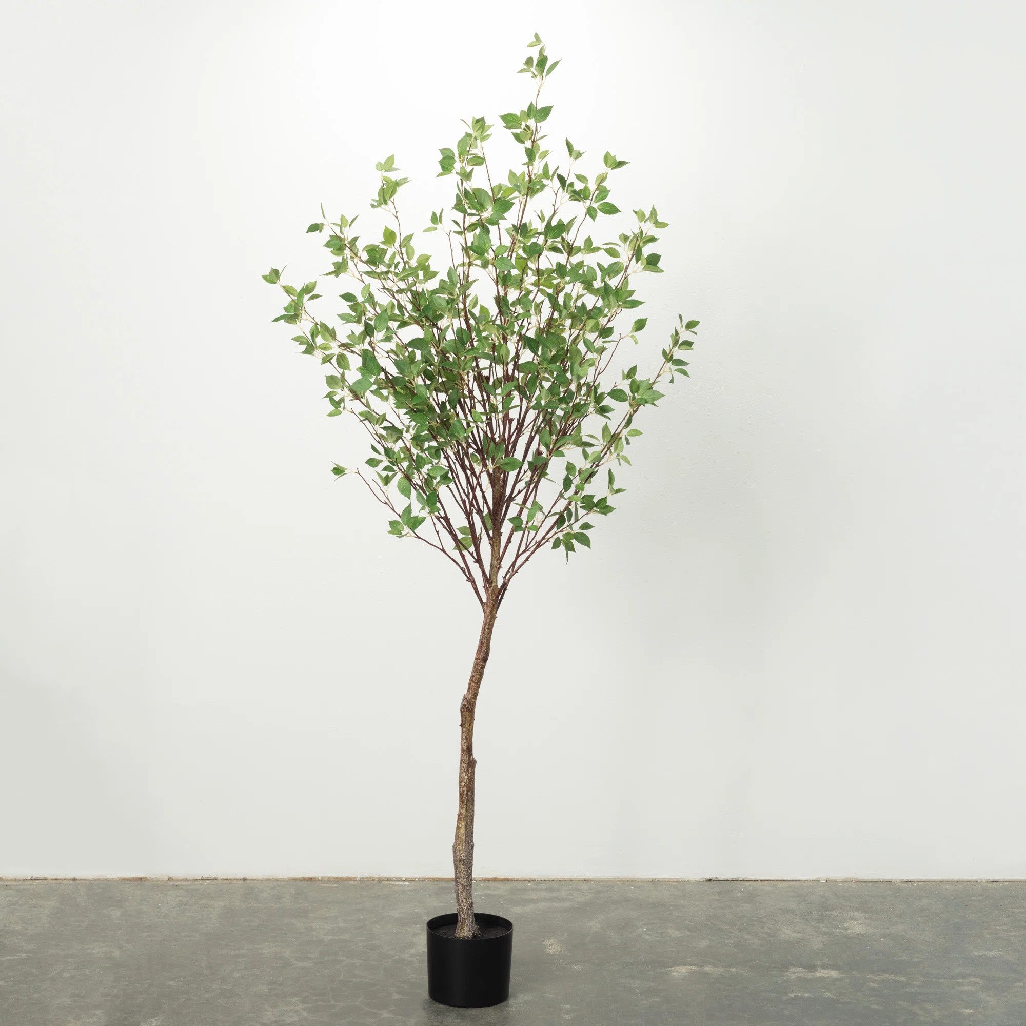 Quiller 72'' Faux Mountain Leaf Tree in Planter | Wayfair North America