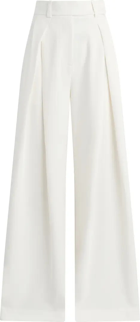 Pleated Wide Leg Pants | Nordstrom