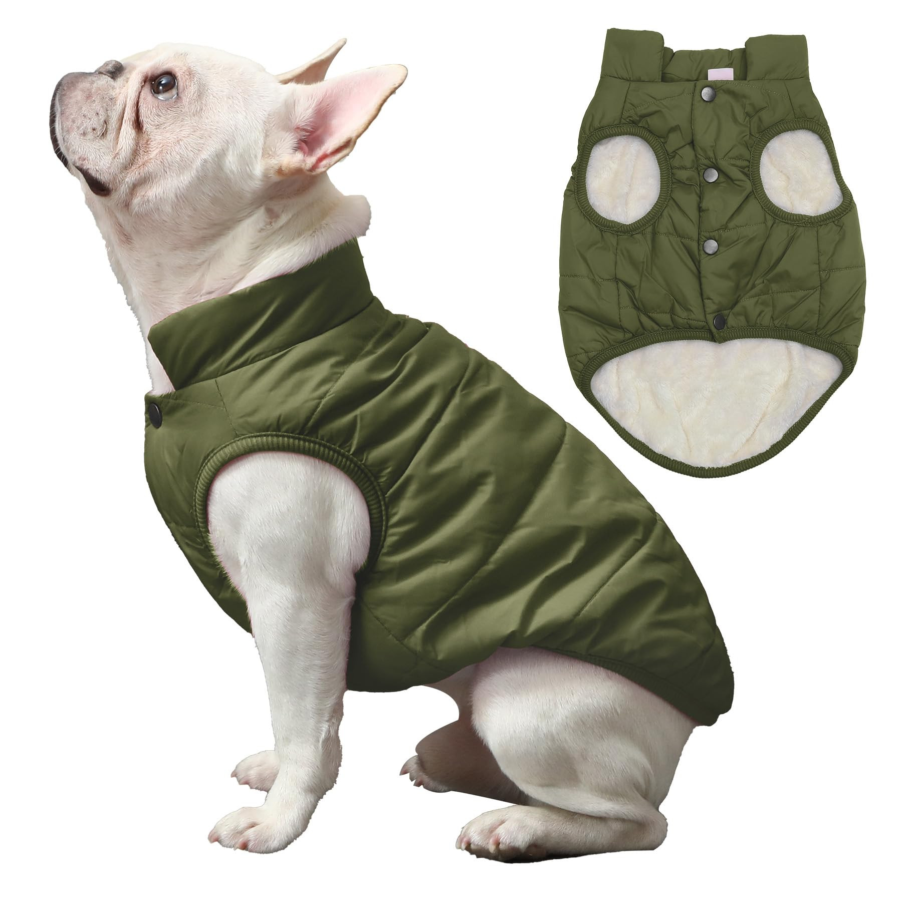 2 Layers Fleece Lined Warm Dog Jacket for Puppy Winter Cold Weather,Soft Windproof Small Dog Coat... | Amazon (US)