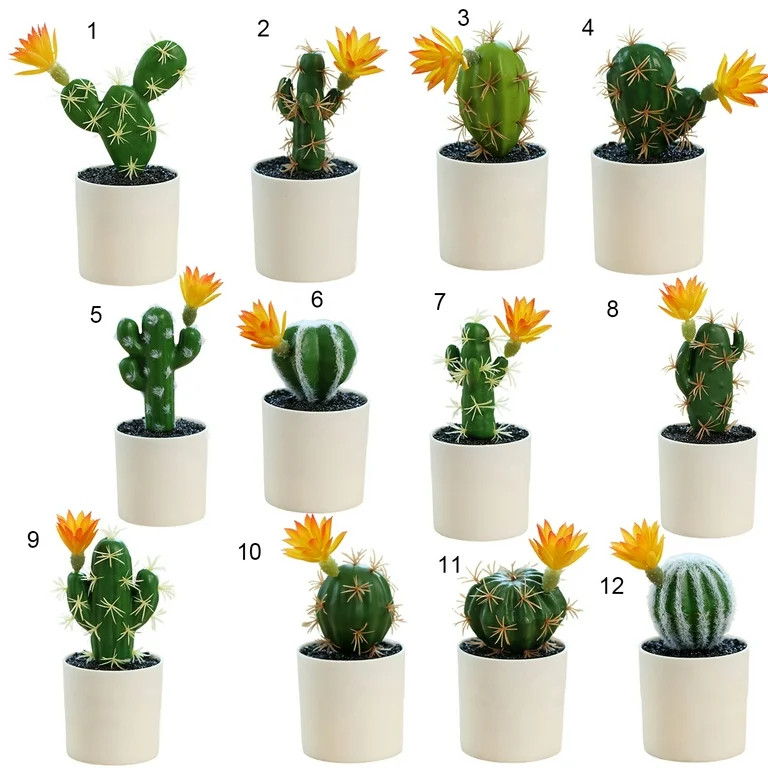 Visland Artificial Cactus Plants, Mini Fake Desert Plants in White Pots | Walmart (US)