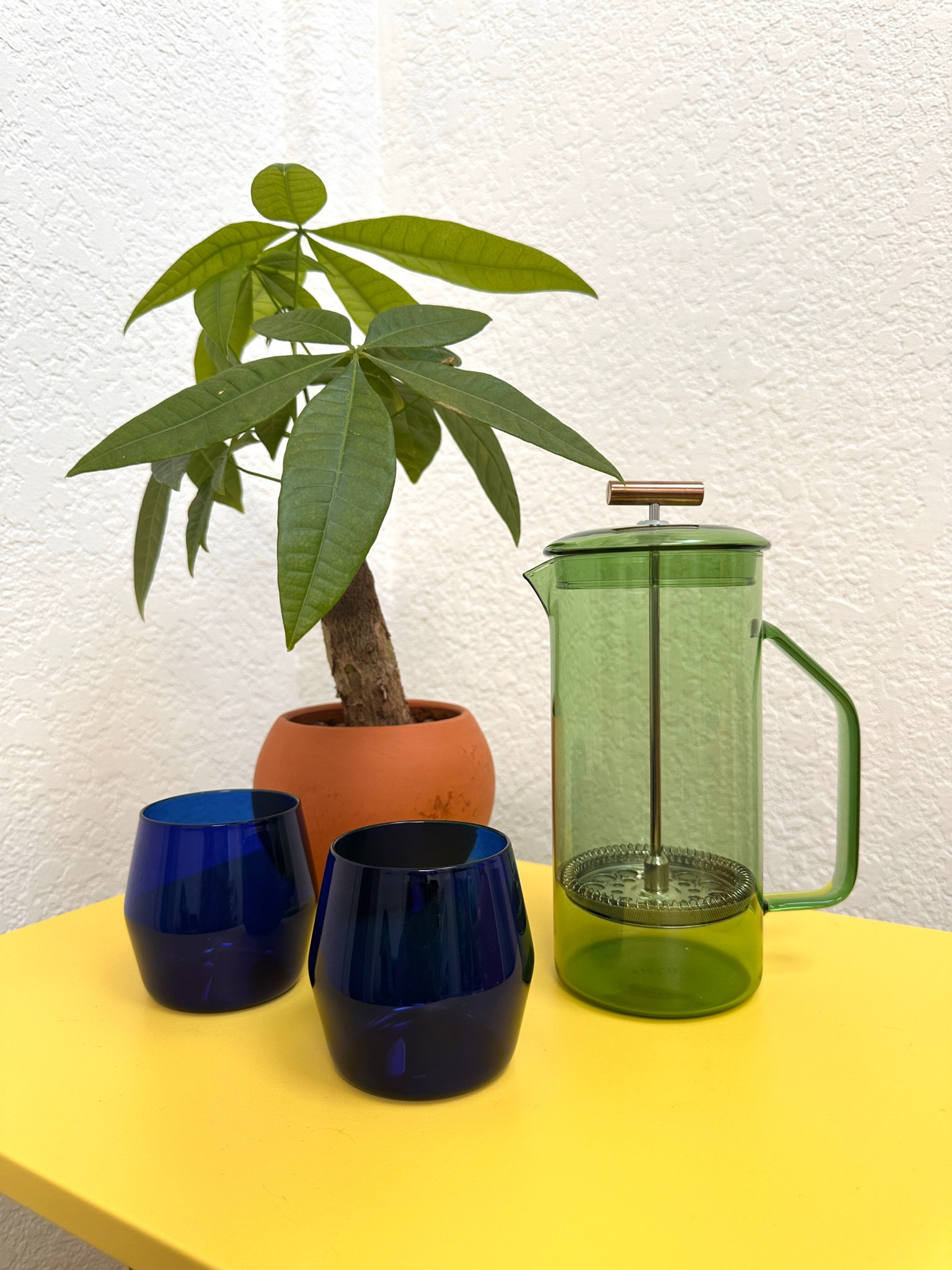 The best French press 

#LTKGiftGuide #LTKHoliday #LTKCyberWeek