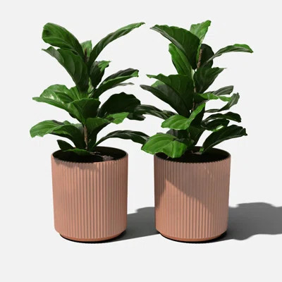 Demi Series Round Planter | Wayfair North America