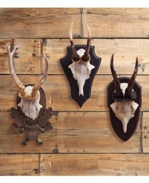 The Hunt Club Set of 3 Antler Trophy Reproductions | Macys (US)