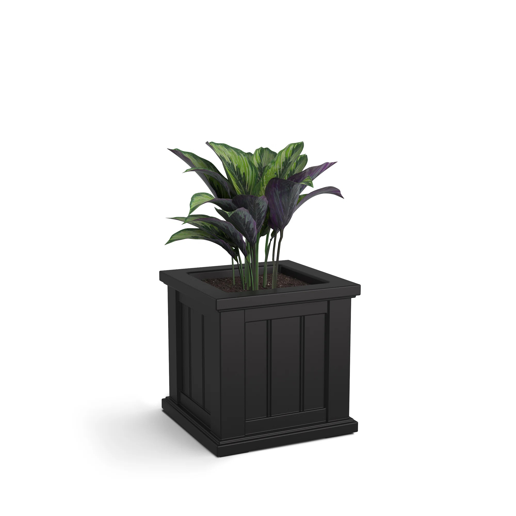 Charlton Home® Selevae Resin Planter Box with Water Reservoir & Reviews | Wayfair | Wayfair North America