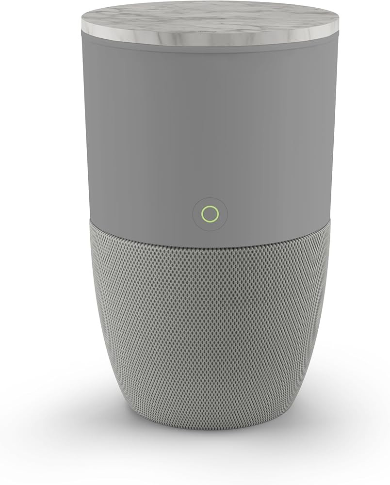 Dupray Bloom™ Air Purifier for Large Rooms with Planter or Custom Accent Table Design | For Hom... | Amazon (US)