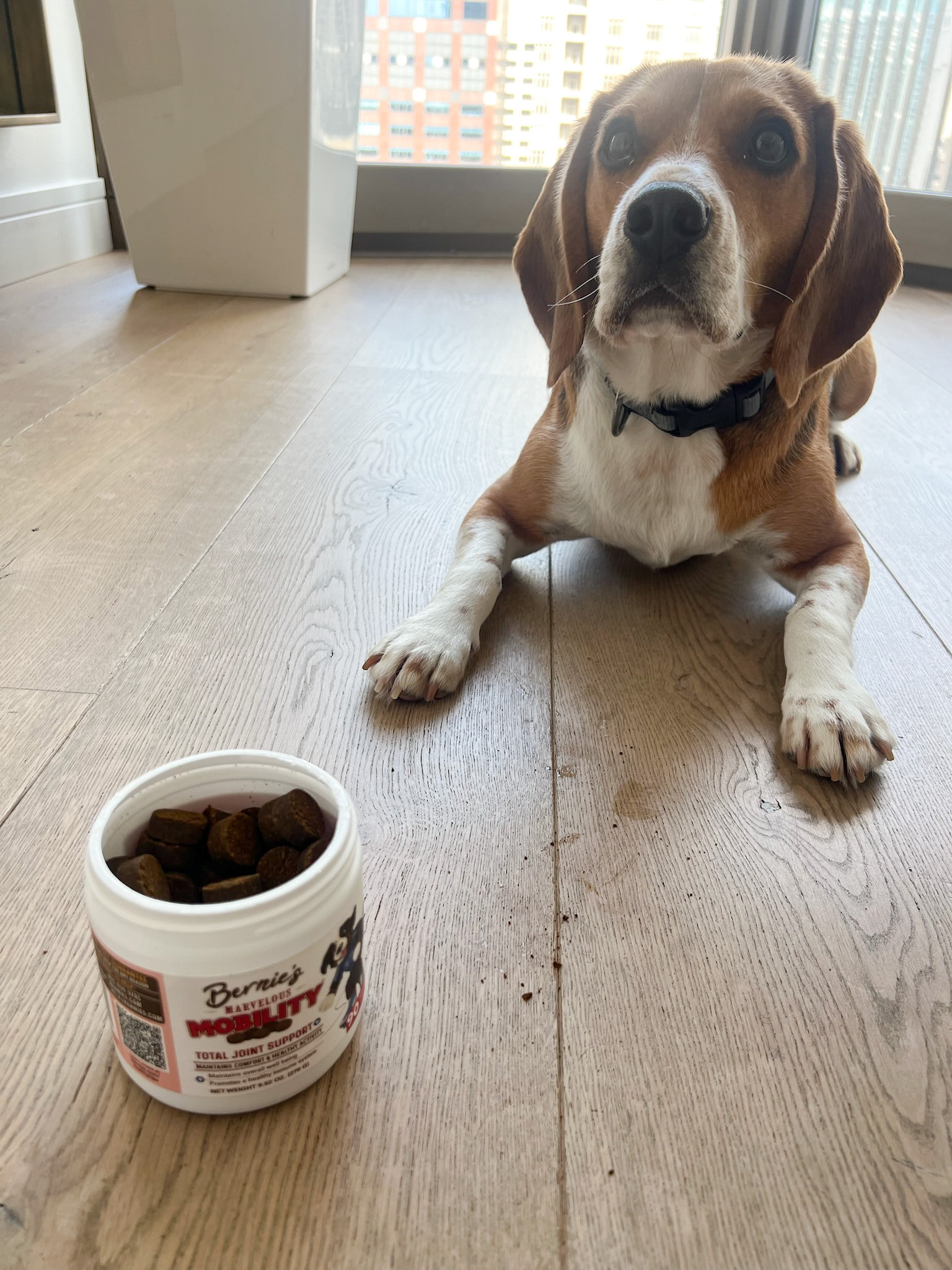 Support your pup’s joints the easy (and tasty) way 🐶✨ with Marvelous Mobility daily total joint support for dogs! Packed with ingredients to help maintain mobility, flexibility, and overall joint health, it keeps your furry friend active and comfortable 💖🐾. Perfect for daily use, especially for aging or active dogs who need that extra support 👀✨. Trust me, this is one routine your pup will thank you for 💕

#dogsupplements #jointsupport #petwellness #doghealth #petcare #healthypets #mobilitysupport #dogcare #petessentials #doglife #furbaby #petparents #dognutrition #happydog #petlove #dailycare #ltkpets #ltkfinds #petmusthaves #doglovers #petinspo #activedogs #dogproducts #petlifestyle 

 