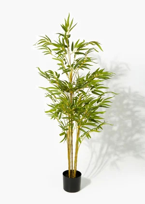 Bamboo Tree in Round Pot (130cm) | Matalan (UK)