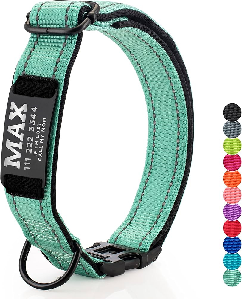 UPDATED - Personalized Dog Collars and Engraved Nameplate ID Tag, Reflective Nylon Dog Collar, Cu... | Amazon (US)