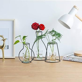Nuptio Set of 3 Creative Desktop Planter Set with Glass Cup Vases Iron Metal Stand for Water Plan... | Amazon (US)