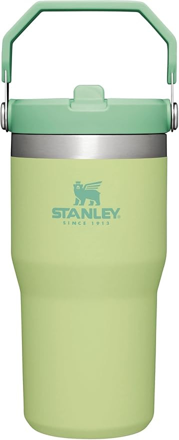 Stanley IceFlow Flip Straw Tumbler with Handle 20 oz | Twist On Lid and Flip Up Straw | Leak Resi... | Amazon (US)