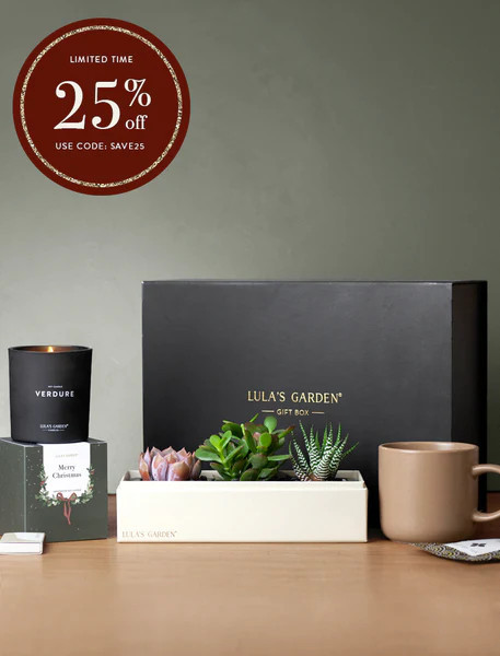 Christmas Jewel Gift Set | Lula's Garden