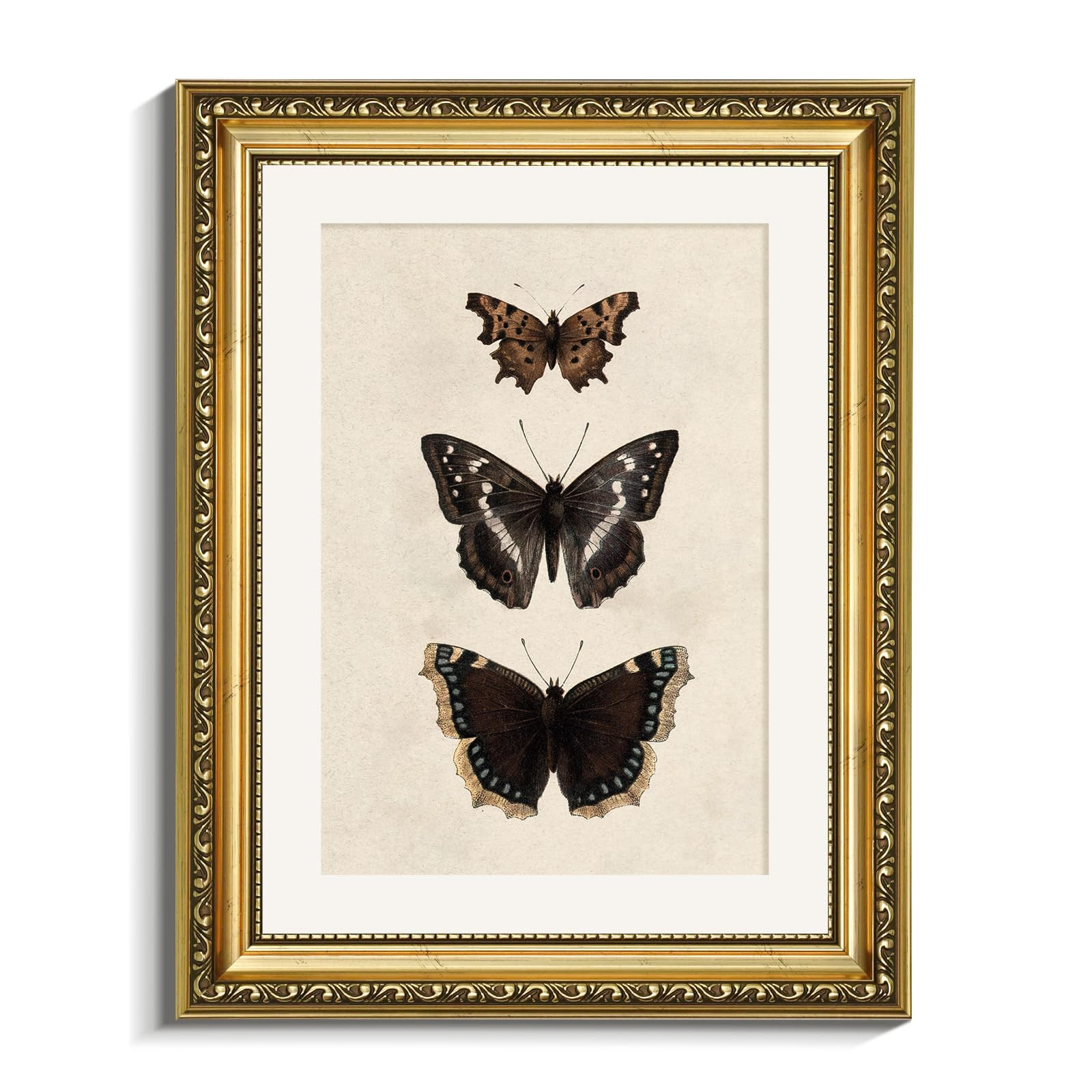 VIYYIEA Vintage Gold Framed Butterfly Wall Art, Bedroom Bathroom Shelf Retro Butterfly Illustrati... | Amazon (US)