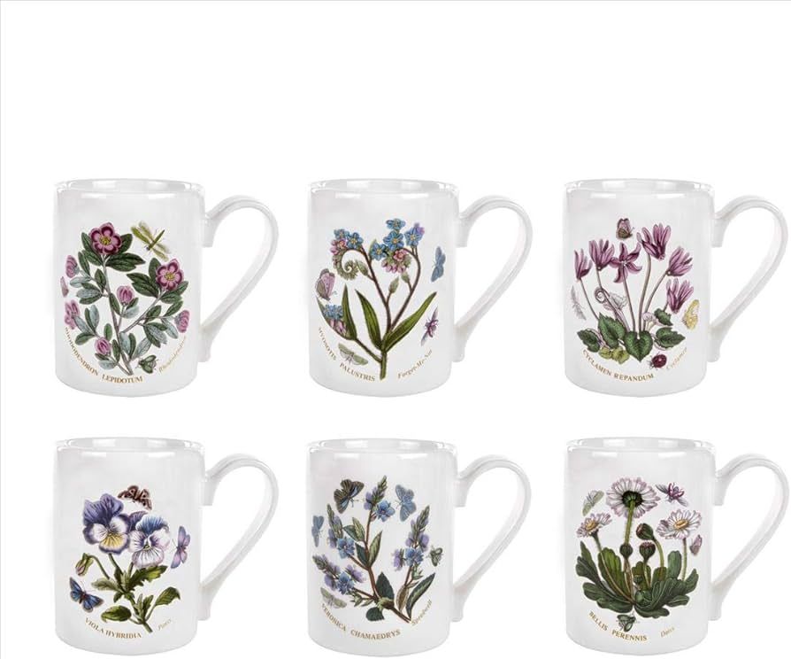 Amazon.com | Portmeirion Botanic Garden Tankard Mug | Set of 6 with Assorted Floral Motifs | 12 O... | Amazon (US)