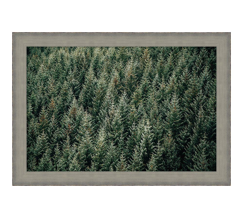 Aerial Evergreen Forest Framed Print | Pottery Barn (US)