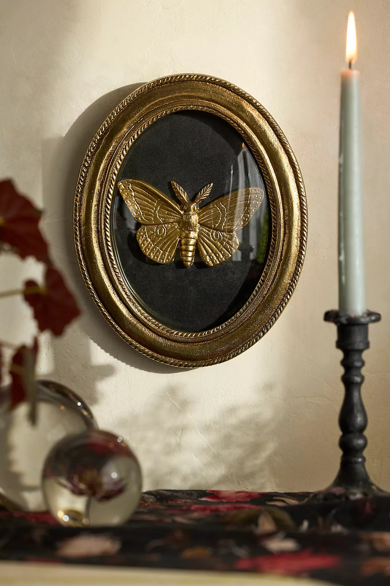 Golden Moth Shadow Box | Anthropologie (US)
