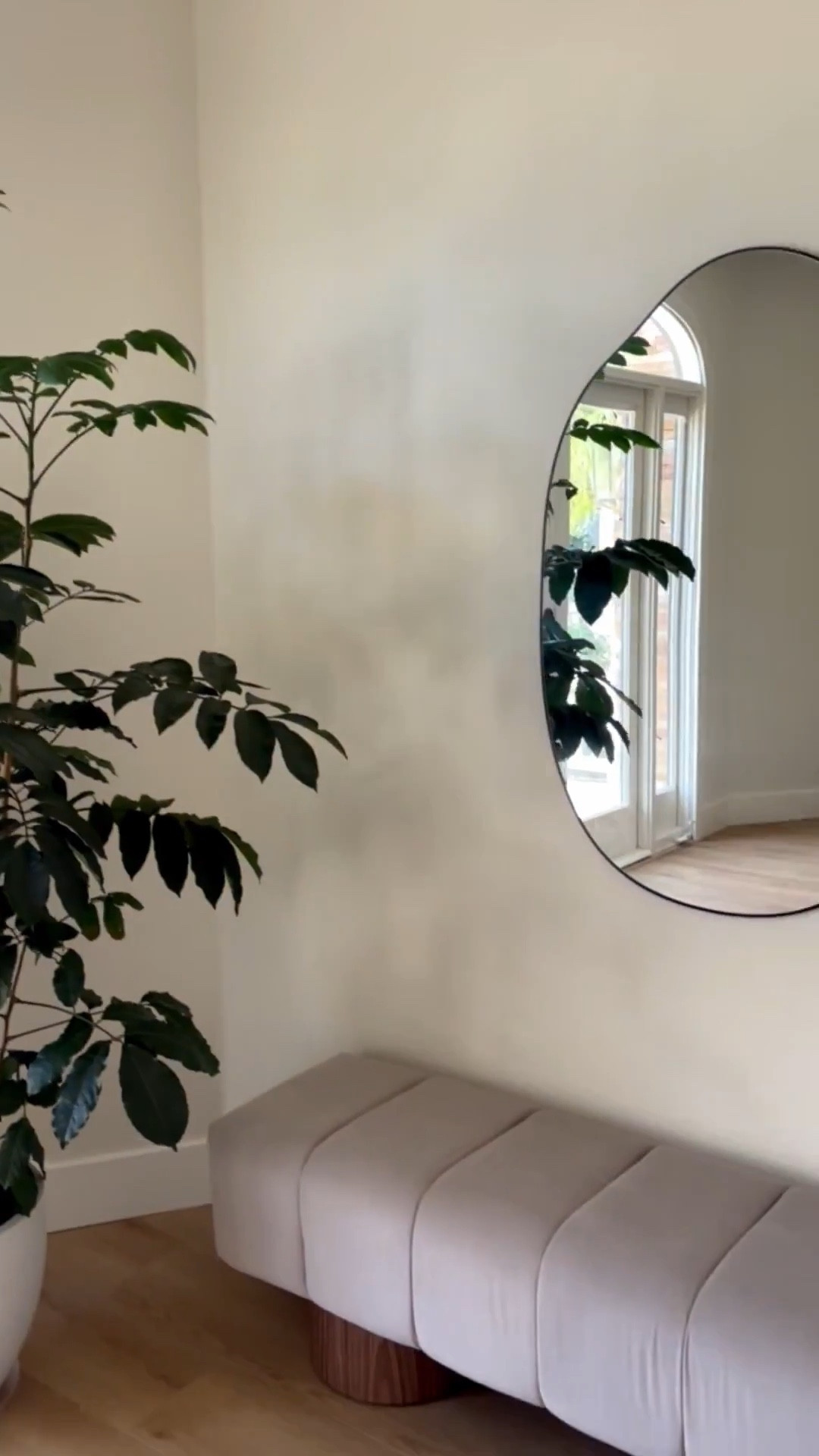 This entire living room is a prime example of organic-modern style decor 🤍

Elements of organic-modern style decor:
- free-form shapes
- rounded edges 
- natural materials

🫶🏻 Tap the heart if you like organic-modern style home decor!
 

🌷 FOLLOW & SUBSCRIBE @homeswithchristina on LTK & IG for more affordable home decor finds & decorating tips!


.
.
.
affordable home furnishings
spring living room style 
neutral home aesthetic
white curved sofa
spring living room refresh
budget modern furniture
organic sofas 
free-form coffee tables 
#organicmodernhome #neutralhomedecor #springrefresh #LTKSpringSale

#LTKSeasonal #LTKSaleAlert #LTKHome