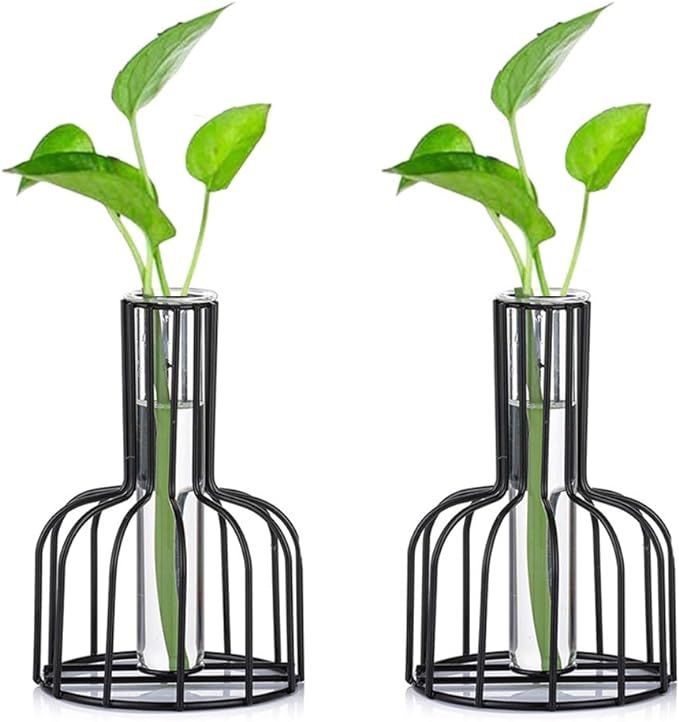Amazon.com: Glass Propagation Station with Metal Frame, Black Flower Vase, Test Tube Vase for Hyd... | Amazon (US)