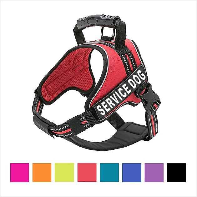 Chai's Choice Service Dog Harness | Chewy.com