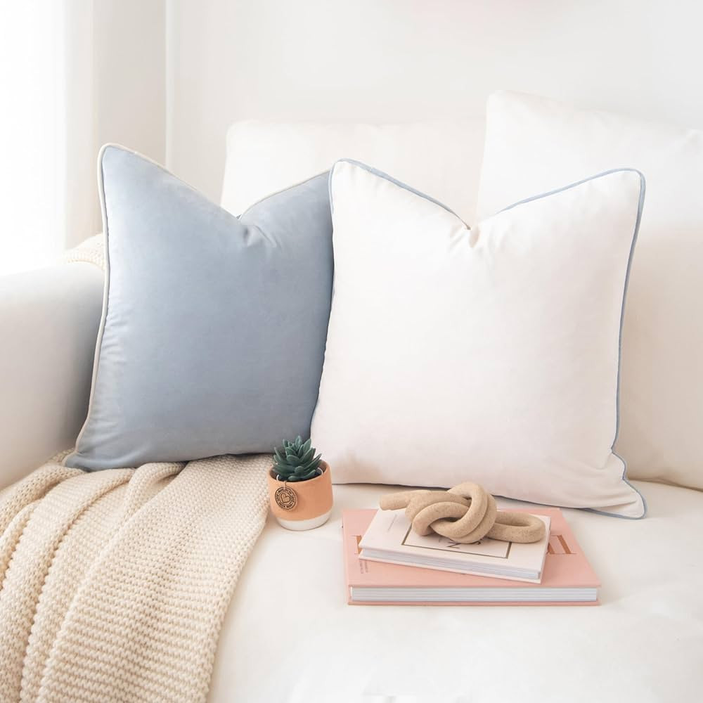 MONDAY MOOSE Decorative Throw Pillow Covers, Set of 2 Soft Velvet Modern Double-Sided Designs, Mi... | Amazon (US)