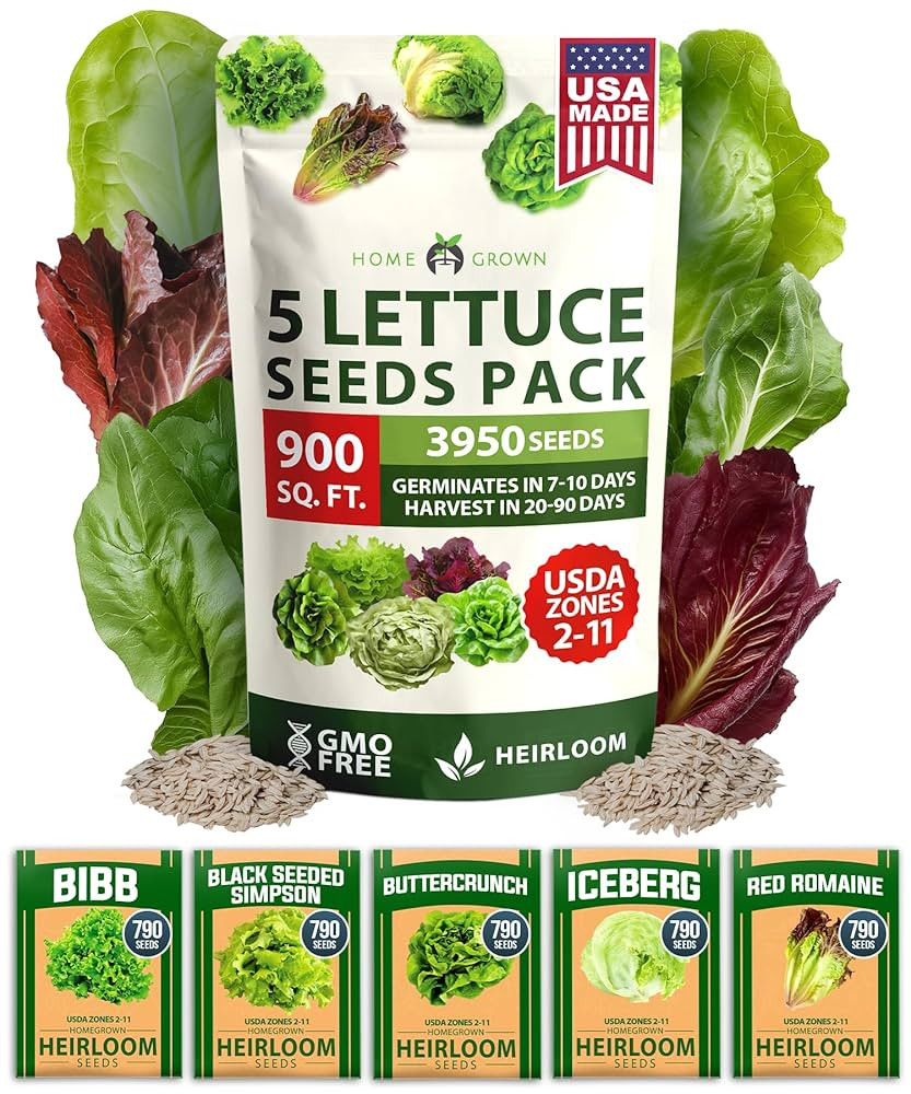 HOME GROWN 5 Lettuce Seed Pack – 3950 Heirloom Vegetable Seeds for Indoor, Outdoor, or Hydropon... | Amazon (US)