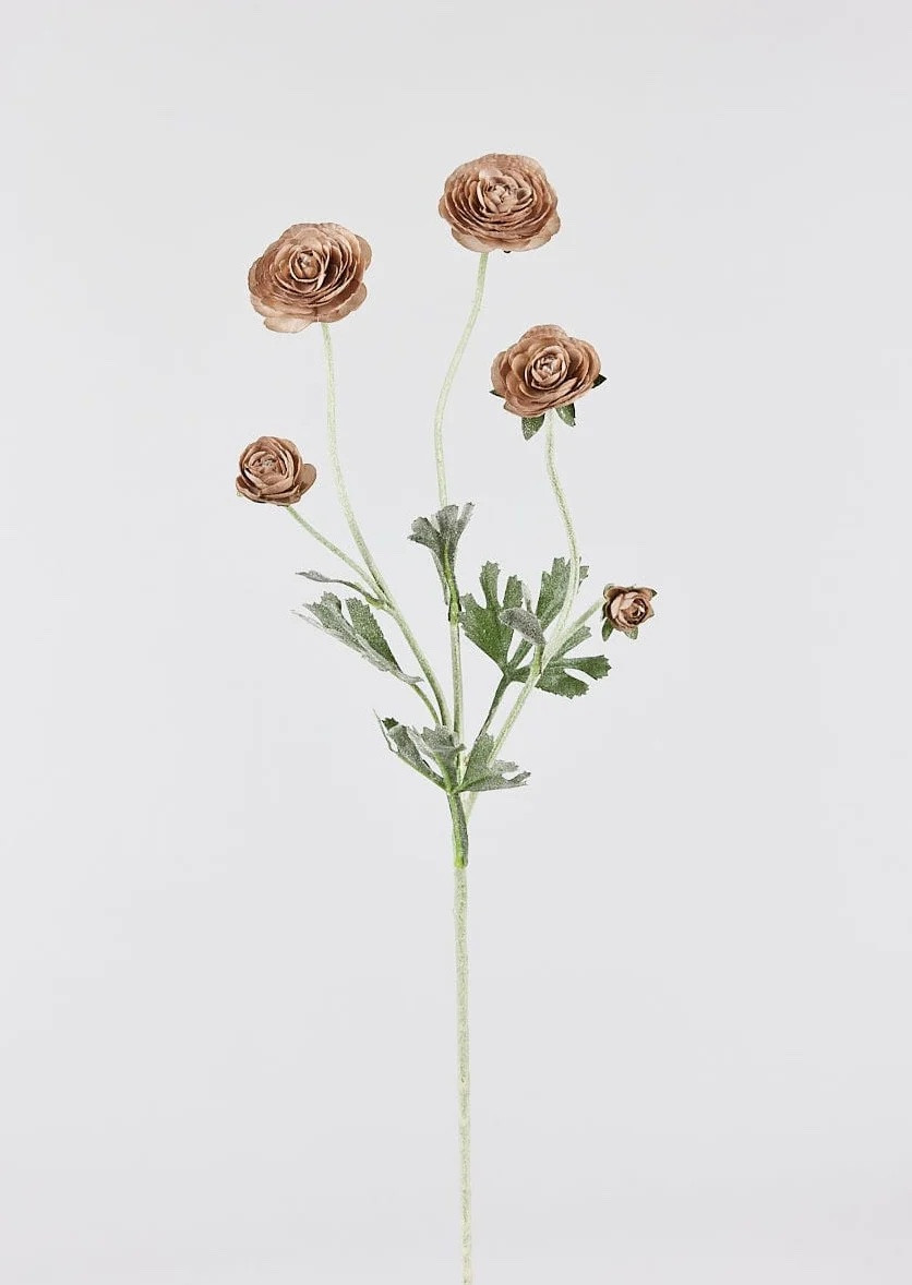Sale Alert! Taupe Mauve Faux Ranunculus Flowers - 28" - Spring Decor - Spring Sale - Spring Flower Stems 

#LTKSeasonal #LTKSpringSale #LTKhome