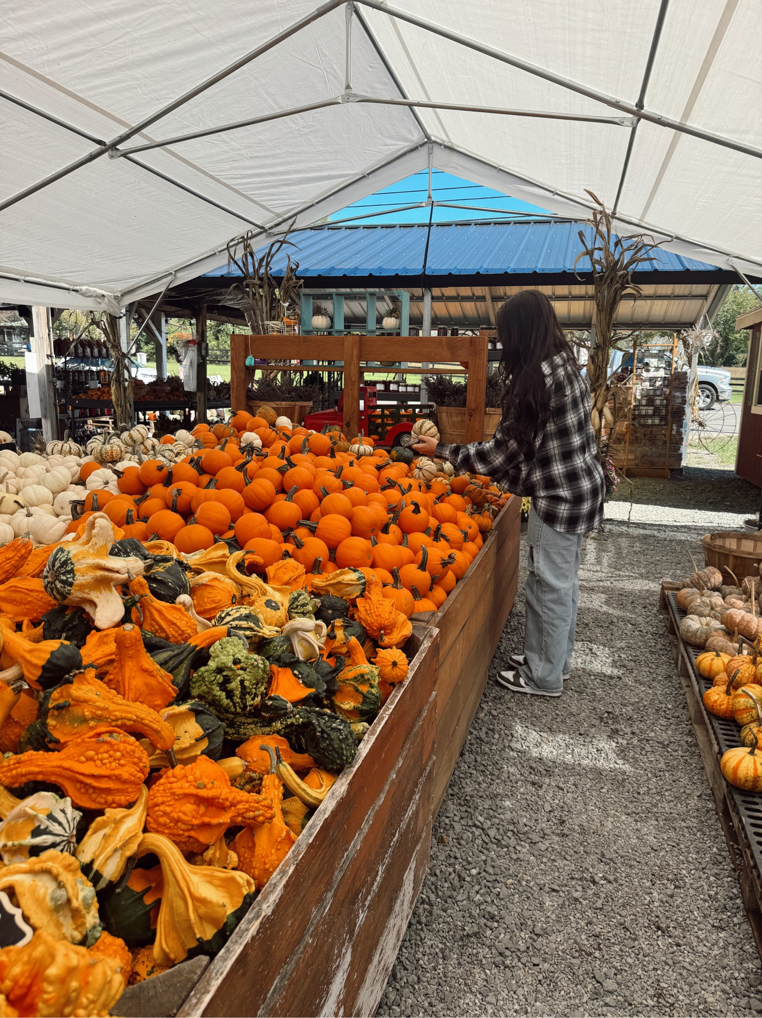 farmers market looks 🚜🌾🎃

#LTKFindsUnder100 #LTKSeasonal #LTKStyleTip