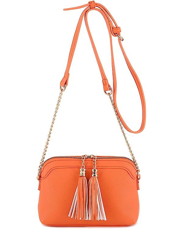 Two Tassel Small Crossbody Bag with Chain Strap Small Purse Handbags for Women | Amazon (US)