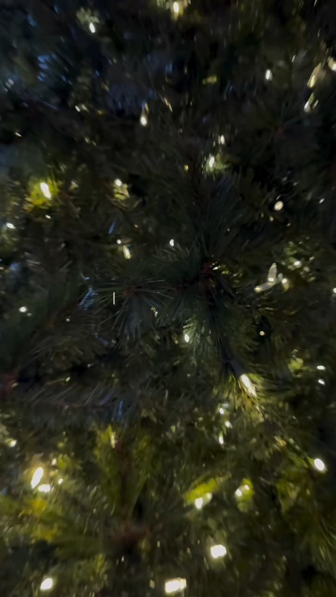 Happy November 1st grinches #november1st #grinches #funny #christmas 

When do put the tree out?