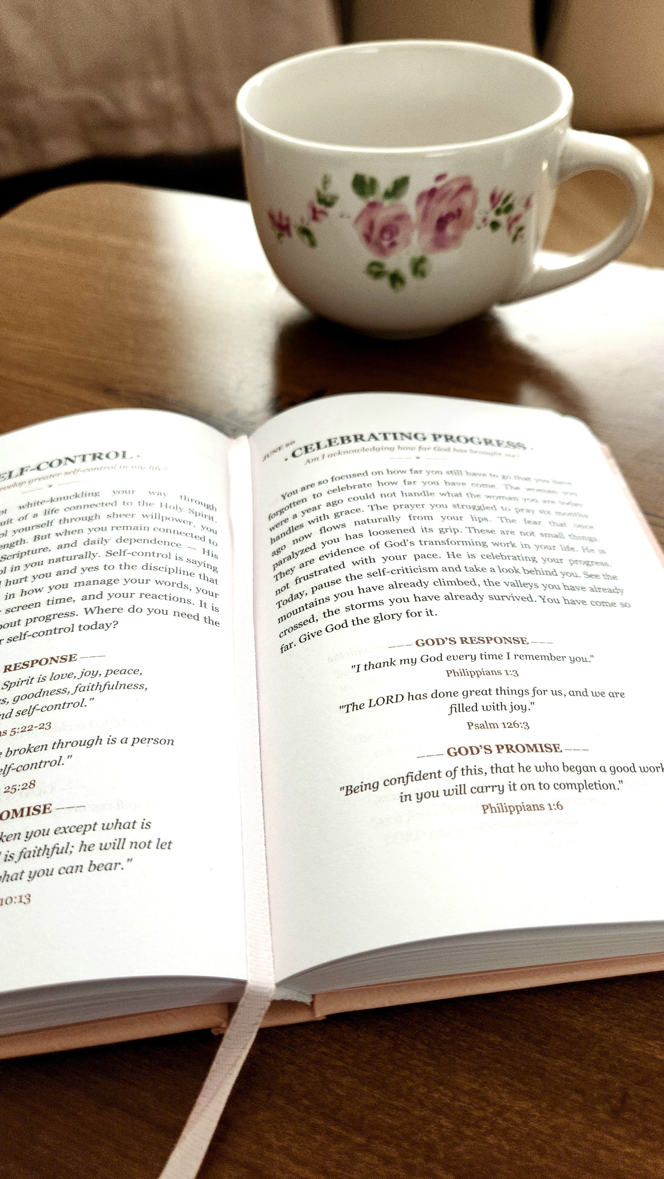 daily devotion for women, tea cup, coffee mug, floral pink mug, 365 devotional book, Christian faith book

#LTKSaleAlert #LTKHome #LTKmorningroutine