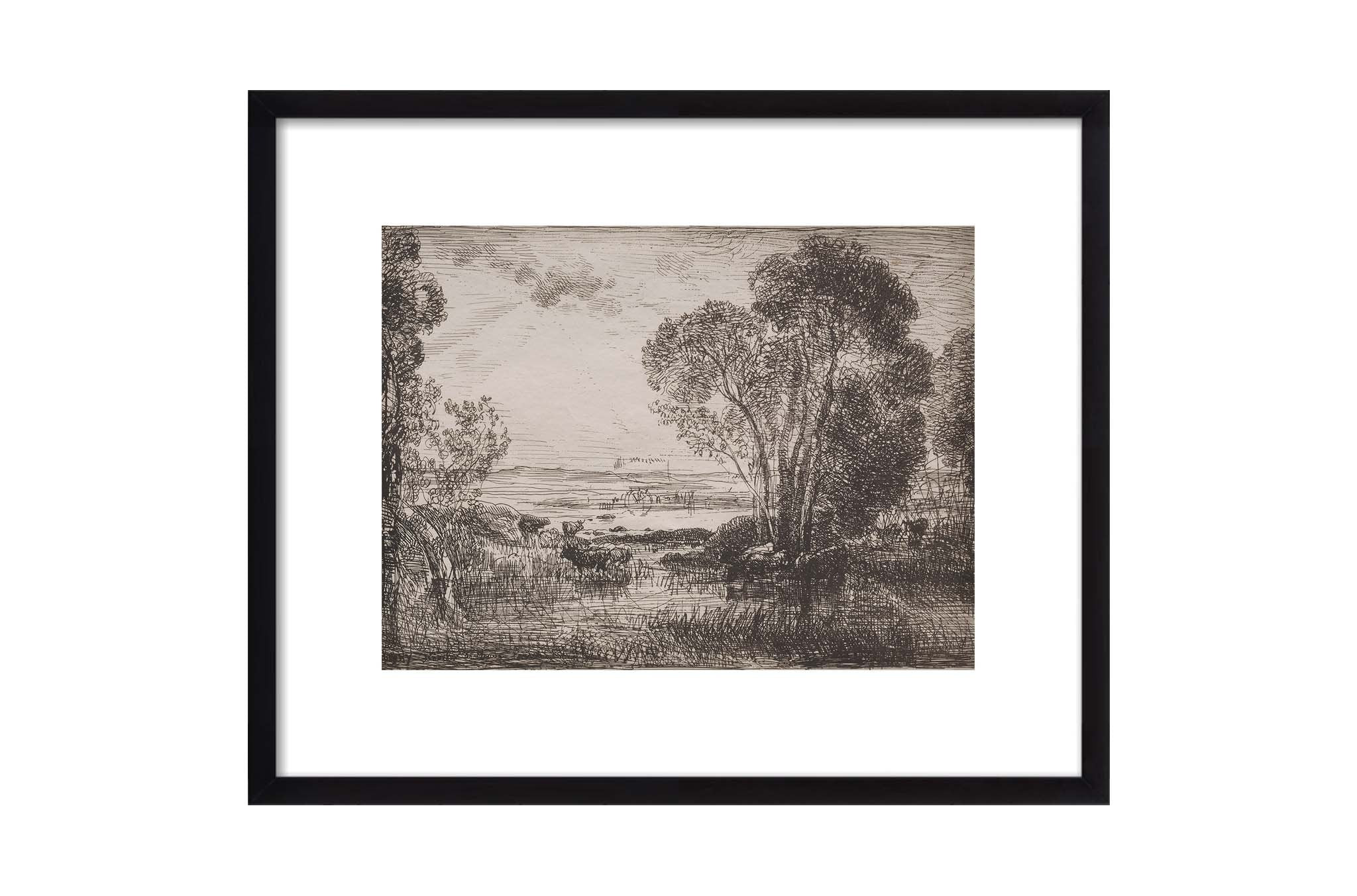 Meadow Sketch II | North and Finch