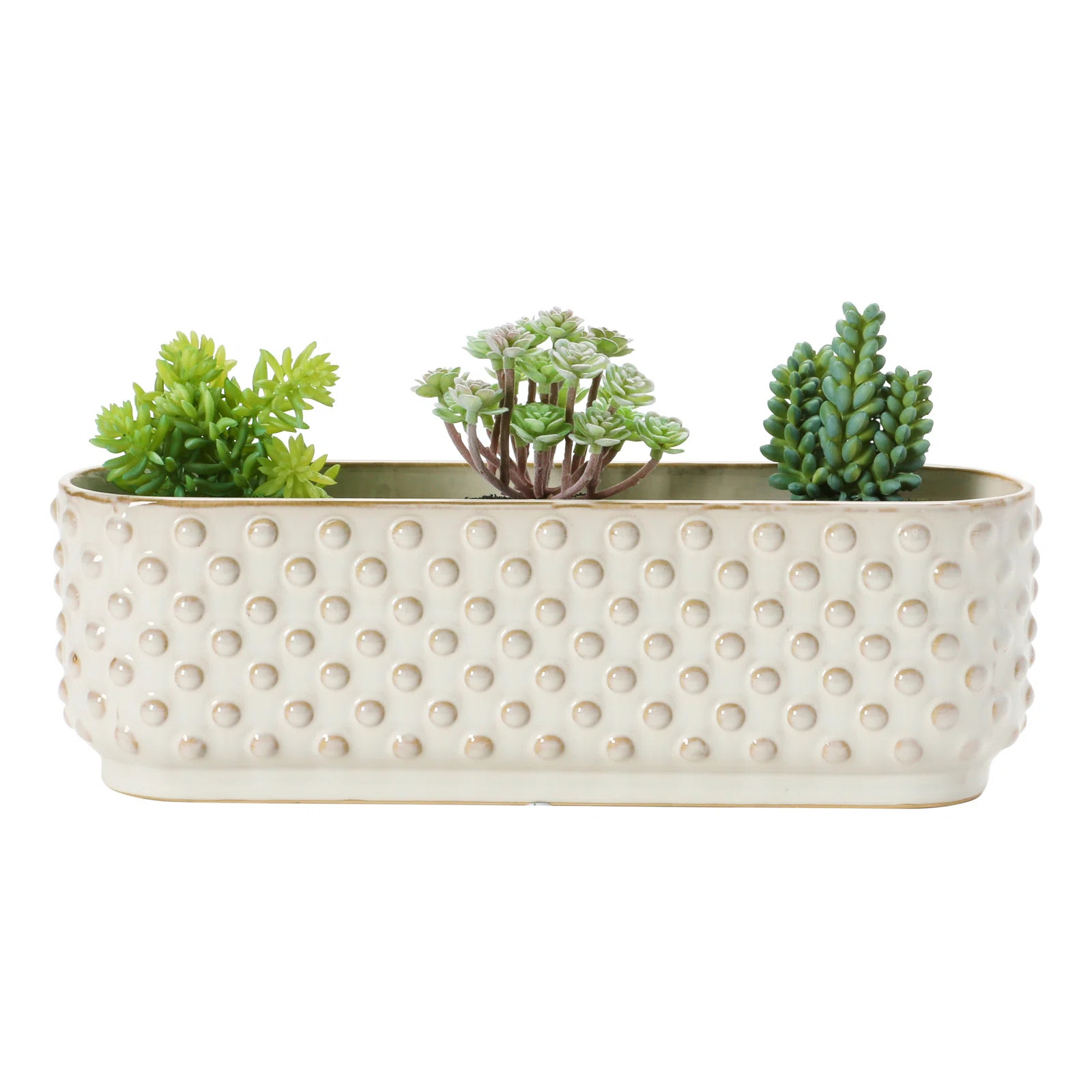 Dakota Fields Gianna Hobnail Window Ceramic Planter Box & Reviews | Wayfair | Wayfair North America