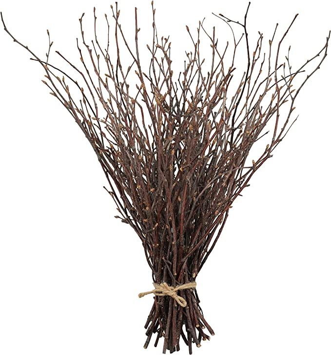 Uieke 50PCS Birch Twigs – 17 Inch Natural Dried Plants Decorative Birch Branches for DIY Crafts... | Amazon (US)