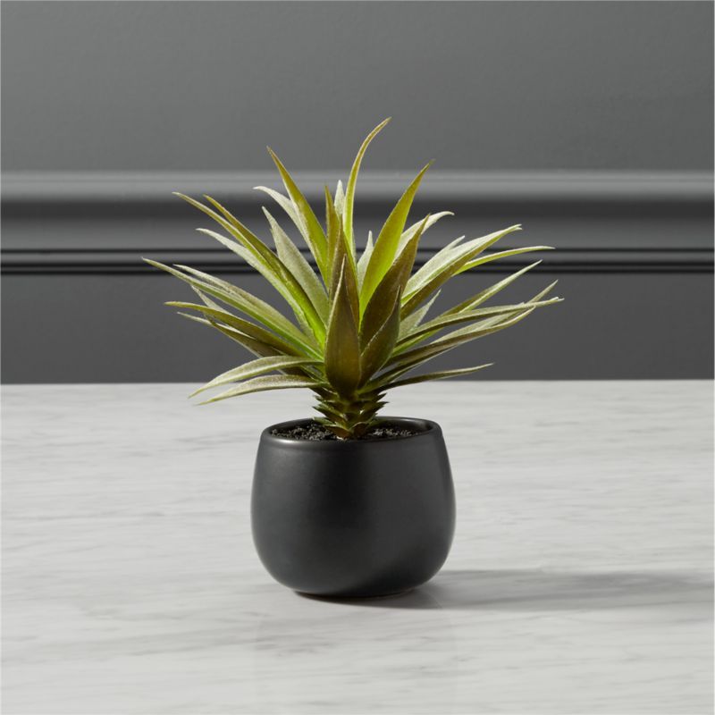 Faux Potted Succulent with Black Pot 7"CB2 Exclusive In stock and ready to ship.ZIP Code 50322Cha... | CB2