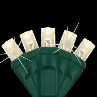 Wintergreen Lighting SoftTwinkle 16 ft. 50-Count Pulsing LED Wide Angle Warm White Christmas Mini... | The Home Depot