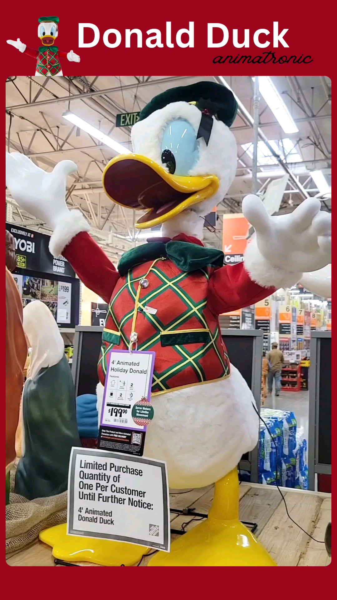 4 ft. Animated Donald Duck - why did no one tell me they made Donald??? I officially have 2 out of 3 of the Disney Christmas animatronics & we're shooting for all 3 😍 We searched high & low for Minnie (I bought Mickey last year) & I don't mean to be dramatic.. BUT they're literally my favorite things I own 🥹 Remember get a price drop notification if you heart a post/save a product 😉 

✨️ P.S. if you follow, like, share, save, or shop my post (either here or @coffee&clearance).. thank you sooo much, I appreciate you! As always thanks sooo much for being here & shopping with me 🥹 

| disney christmas, disney holiday, mickey mouse, mickey mouse ears, animattonic, the home depot, christmas decorations, indoor decorations, indoor christmas decorations, christmas decor, christmas tree, christmas, christmas disney, disney christmas outfit, christmas living room, Christmas ornaments, ornaments, tree ornaments, minnie mouse, disneyland, disney world, disney store, disney ears, disney adult, disney style, disney disney outfits, christmas party, disney amazon, disney bound, disney mom, disney world christmas |

#LTKHoliday #LTKHome #LTKSeasonal #LTKVideo #LTKFamily #LTKKids

