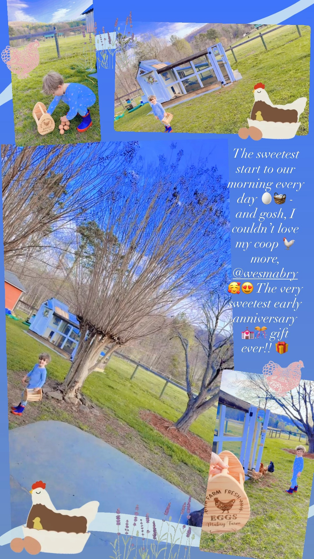 The sweetest start to our morning every day 🥚🧺 - and gosh, I couldn’t love my coop 🐓 more, @wesmabry 🥰😍 The very sweetest early anniversary 💒🎊 gift ever!! 🎁 